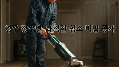 영주 장수면 🏡 쾌적한 청소 비법 공개! ✨