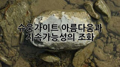 슈웅가이트: 아름다움과 지속가능성의 조화